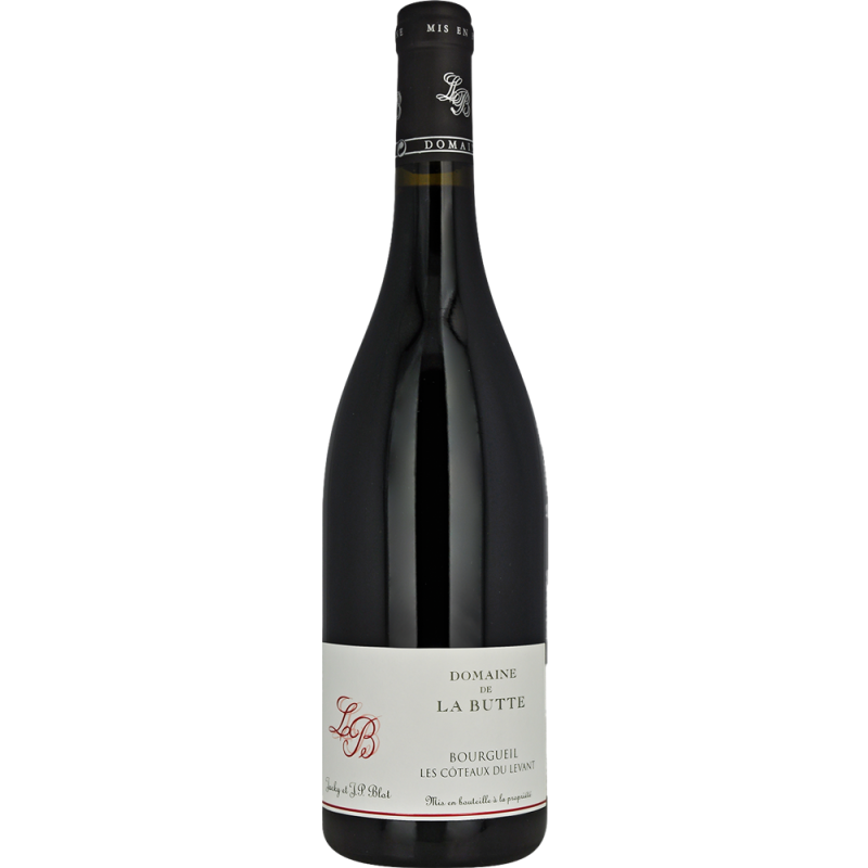 Domaine De La Butte Bourgueil Coteaux Du Levant | Red Wine